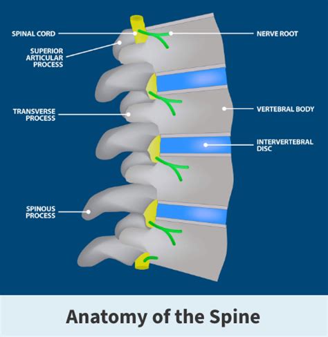 discitis unspecified lumbar region.